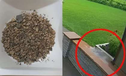 Man Escapes Close Meteorite Impact: ‘It Could Have Torn Me Apart!’