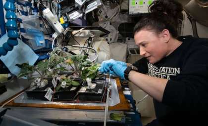Cultivating Life on Mars: NASA’s Vision for Space Farming
