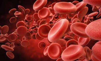 New Human Blood Group MAL Identified, Solving a 50-Year Medical Enigma