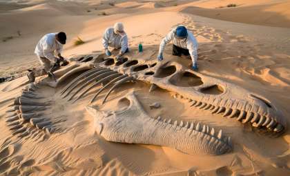New Research Uncovers the True Birthplace of Dinosaurs