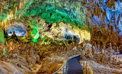 How One Bag of Snack Food Disrupted a National Park's Underground Ecosystem