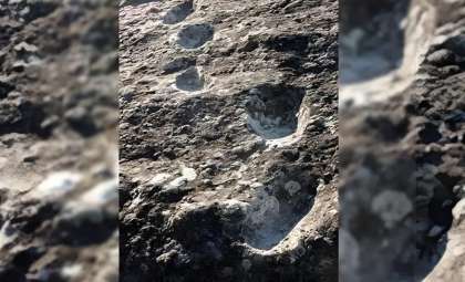 Walking on Fire: Who Were the Humans That Crossed Lava 350,000 Years Ago?