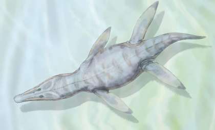 Giant Ancient Sea Predators Once Dominated Ocean Food Chains
