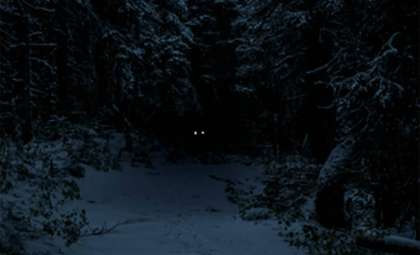 Two Men Vanish Searching for Mythical Creature in Washington Forest, Found Deceased Days Later