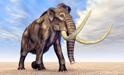 How Scientists Aim to Revive the Woolly Mammoth and Other Lost Species