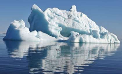 Massive Antarctic Iceberg Nears South Georgia, Threatening Local Wildlife Habitats