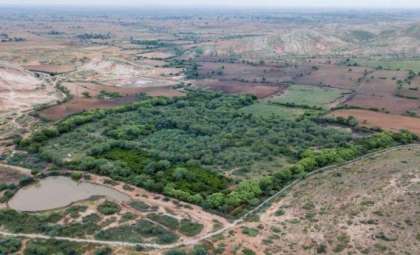 Indian Couple Restores Wildlife Habitat Near Ranthambore Tiger Reserve