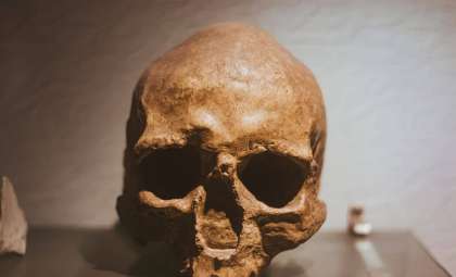 Ancient DNA Sheds Light on the Enigmatic Origins of the Huns Behind Rome’s Collapse