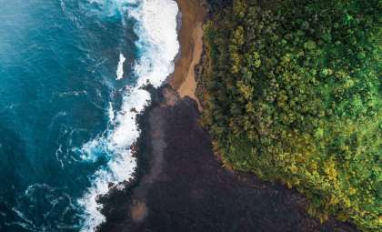 The Return of Green Oceans: Ancient Hues Resurface Amid Modern Change