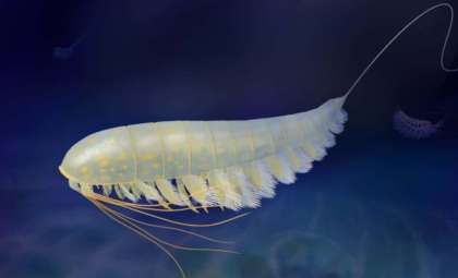 Ancient 'Golden' Fossil Sheds Light on Arthropod Ancestors from 450 Million Years Ago