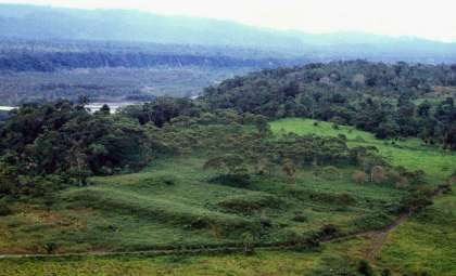 Ancient Laser Scans Reveal 2,500-Year-Old Urban Centers Hidden in the Amazon