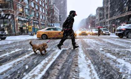 Significant Snowstorm Forecasted for NYC This Weekend with Up to 8 Inches Expected