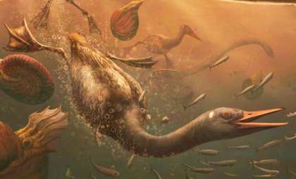 Ancient Bird Fossil Reveals Stunning Link Between Modern Avian Species and Dinosaurs