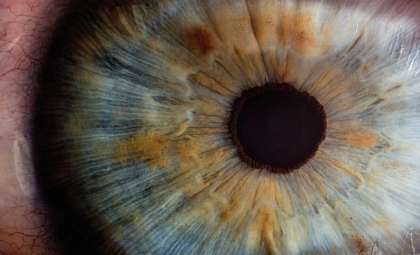 How Breathing Influences the Size of Your Pupils