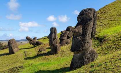 The Return of Rapa Nui’s Lost Toromiro Tree: A Botanical Revival