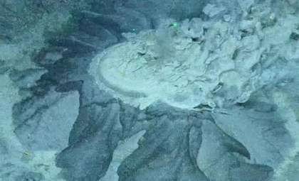 Hidden Arctic Mud Volcano Revealed to Harbor Thriving Life Beneath the Ice