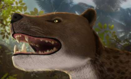 Newly Found 15-Million-Year-Old Skull Reveals Secrets of Ancient Carnivore