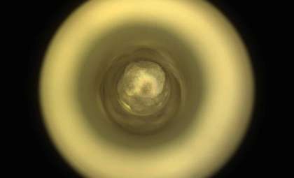 NASA’s Latest Martian Sample Could Unlock Secrets of Planetary History