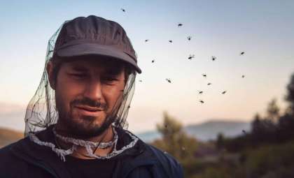 What Really Draws Flies to People and How to Keep Them Away