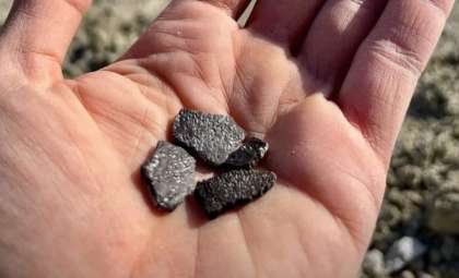 Ancient Dinosaur Eggs from Utah Illuminate a Lost Cretaceous Ecosystem