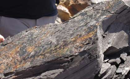 Ancient Fossils Uncover the Slow Recovery from Earth’s Deadliest Mass Extinction