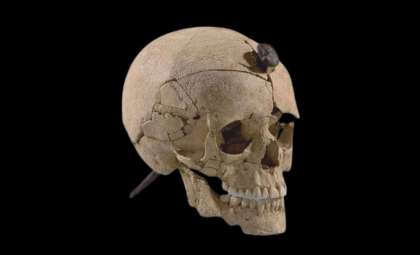 Decoding Ancient Iberian Severed Heads: Tribute or Ancestral Honor?