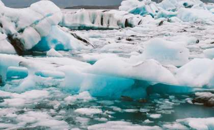 Millennia-Old Forest Emerges as Ice Recedes in the Rockies