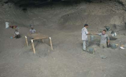 7500-Year-Old Avocado Fossils Unveil Early Human Cultivation in Honduras