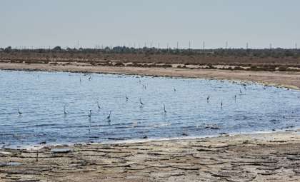 California’s Biggest Lake Is Vanishing—Here’s Why It Matters