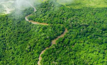 New Evidence Shows Early Humans Inhabited Rainforests 150,000 Years Ago