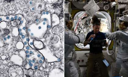 Harnessing Earth’s Microbes to Support Astronaut Health on Extended Space Voyages
