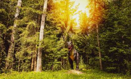 How Dinosaur Extinction Transformed Forest Evolution