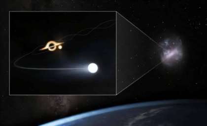 Nearby Giant: Discovery of a Hidden Supermassive Black Hole in the Large Magellanic Cloud