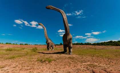 Isle of Skye Dinosaur Fossil Unearthed After Five Decades
