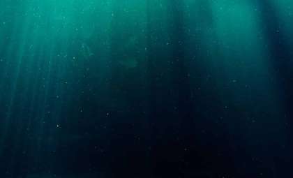 Unveiling Thousands of Novel Microbes in the Ocean’s Deepest Trenches