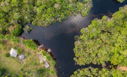 Over Two Dozen New Fish Species Uncovered in Peru and Amazon Waters