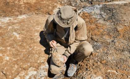 Utah Dinosaur Egg Discovery Unveils Unprecedented Diversity from 100 Million Years Ago