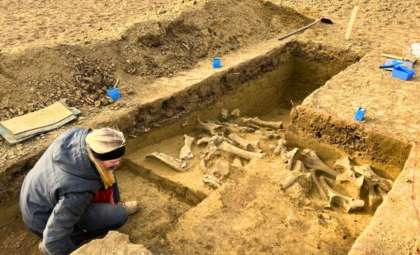 Ancient Mammoth Hunt Unearthed in Lower Austria Reveals Advanced Ice Age Practices