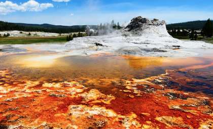 Yellowstone’s Fresh Volcanic Vent Emerges—What Does It Mean for the Supervolcano?