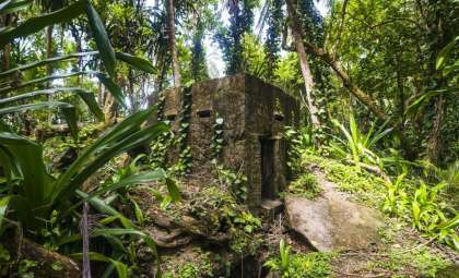 Researchers Unveil a Millennia-Old Fortress Hidden in Romanian Wilderness
