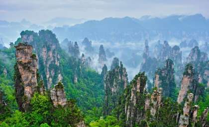 Laser-Equipped Drones Reveal China’s Vast Forest of 142.6 Billion Trees
