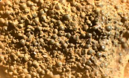Mars Rover Uncovers Mysterious Rock Adorned with Hollow Spheres, Fueling Scientific Debate