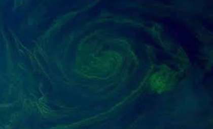 Unnatural Green Glow in the Gulf of Oman Signals Alarming Ecological Shift