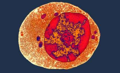 New Evidence Pushes LUCA's Origin Back Billions of Years