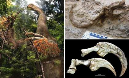 Mongolian Discovery Unearths a Unique Two-Fingered Dinosaur Species