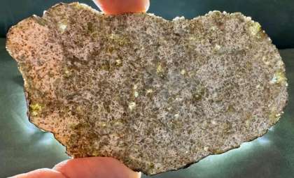 Uncovering a Meteorite That May Belong to a Forgotten World