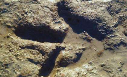 Jurassic-Era Dinosaur Footprints Uncovered in Australian School Boulder