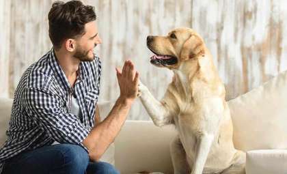 Why More People Are Opting for Dogs Instead of Children: Is Parenthood Losing Its Appeal?