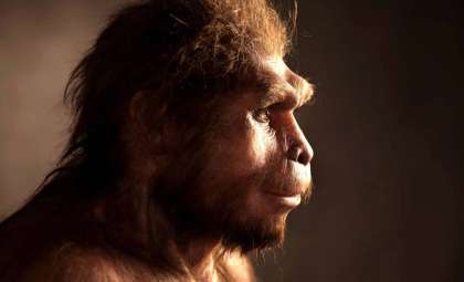 Ancient Ancestors Contributed 20% of Modern Human DNA, Revealing Complex Evolutionary Path