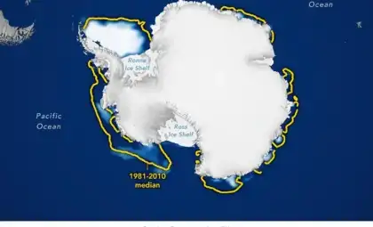 Antarctic Sea Ice Plummets in 2025, Sparking Climate Concerns Worldwide